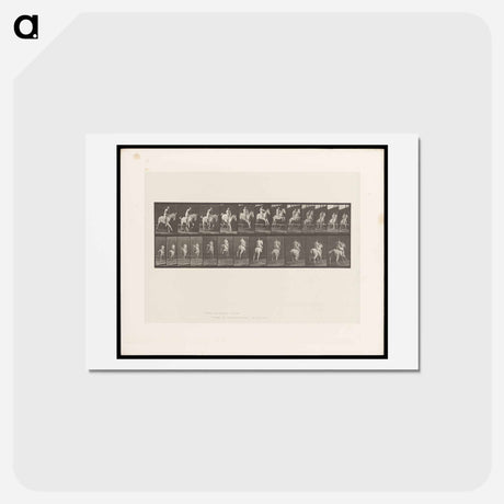 アートポストカード-Naked Horseman
 - エドワード マイブリッジ Postcard.