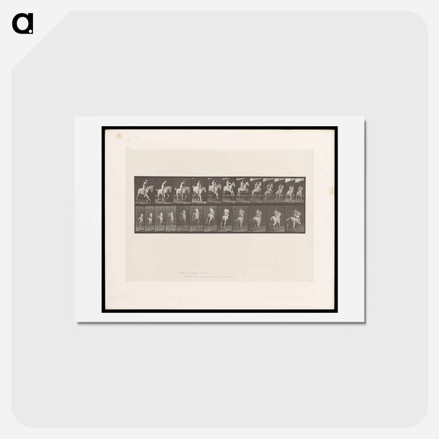 アートポストカード-Naked Horseman
 - エドワード マイブリッジ Postcard.