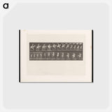 アートポストカード-Naked Horseman
 - エドワード マイブリッジ Postcard.