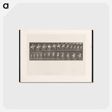 アートポストカード-Naked Horseman
 - エドワード マイブリッジ Postcard.