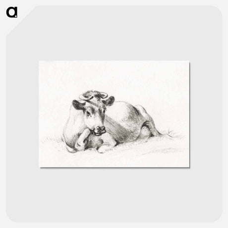 アートポストカード-Lying cow - ジャン ベルナール Postcard.