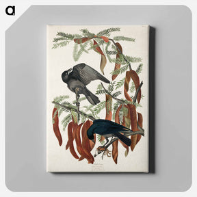 アートパネル-Fish Crow
 - ジョン ジェームス オーデュボン Canvas.