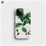 Quercus racemosa (Chéne à grappes) - Pierre-Joseph Redouté Phone Case.