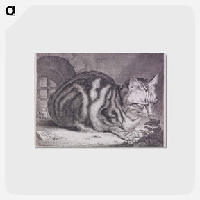 アートポストカード-The Large Cat
 - セントルイス美術館 Postcard.