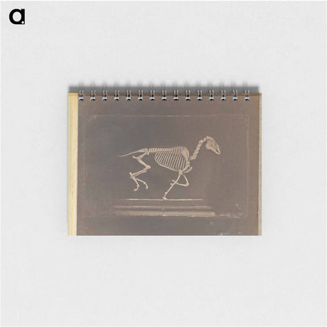 アートメモ帳-Running
 - エドワード マイブリッジ Memo.