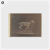 アートポストカード-Running
 - エドワード マイブリッジ Postcard.