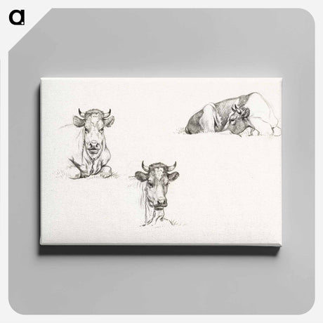 アートパネル-Three sketches of a lying cow - ジャン ベルナール Canvas.