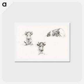 アートポストカード-Three sketches of a lying cow - ジャン ベルナール Postcard.