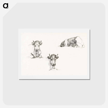 アートポストカード-Three sketches of a lying cow - ジャン ベルナール Postcard.