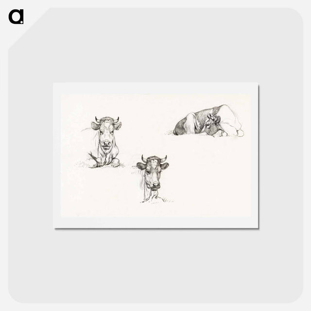 アートポストカード-Three sketches of a lying cow - ジャン ベルナール Postcard.
