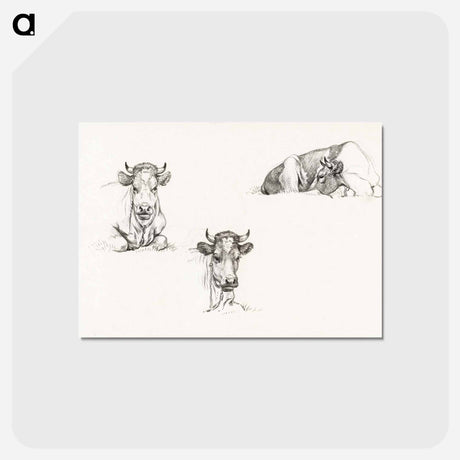 アートポストカード-Three sketches of a lying cow - ジャン ベルナール Postcard.