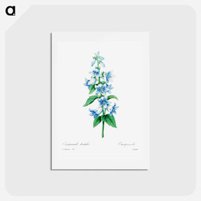 アートポストカード-Bellflower - ピエール ジョゼフ ルドゥーテ Postcard.
