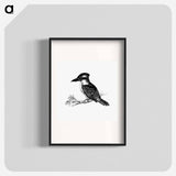アートポスター-Jackass Bird from Adventures of a Gold-Digger
 - 大英図書館 Poster.