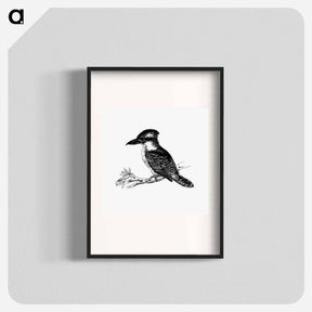 アートポスター-Jackass Bird from Adventures of a Gold-Digger
 - 大英図書館 Poster.