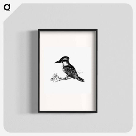 アートポスター-Jackass Bird from Adventures of a Gold-Digger
 - 大英図書館 Poster.