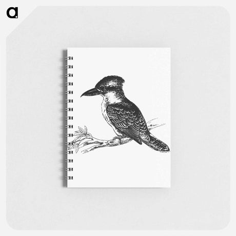 アートメモ帳-Jackass Bird from Adventures of a Gold-Digger
 - 大英図書館 Memo.