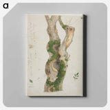 アートパネル-Cleveland Museum of Art
 - クリーブランド美術館 Canvas.