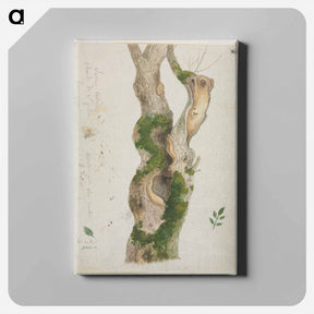アートパネル-Cleveland Museum of Art
 - クリーブランド美術館 Canvas.