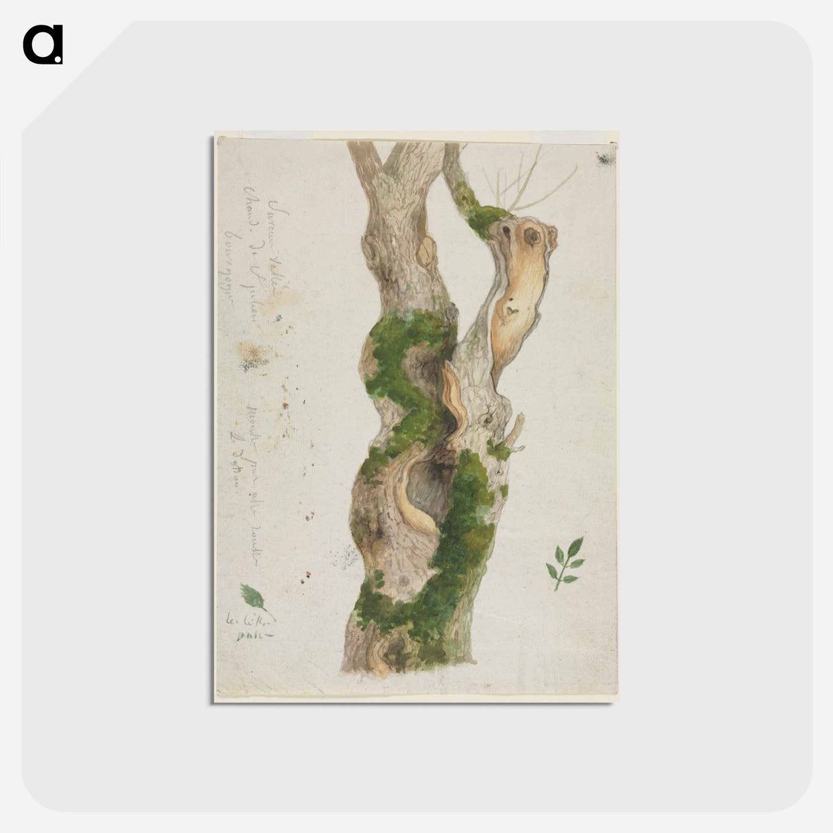 アートポストカード-Cleveland Museum of Art
 - クリーブランド美術館 Postcard.