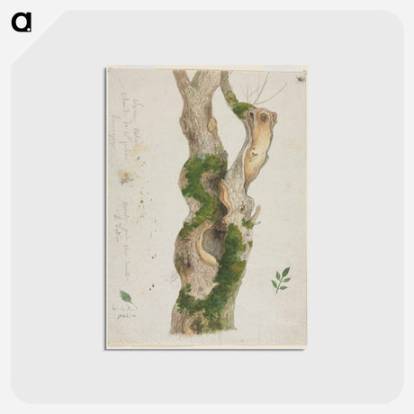 アートポストカード-Cleveland Museum of Art
 - クリーブランド美術館 Postcard.