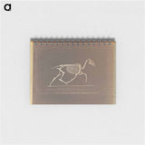 アートメモ帳-Trotting
 - エドワード マイブリッジ Memo.