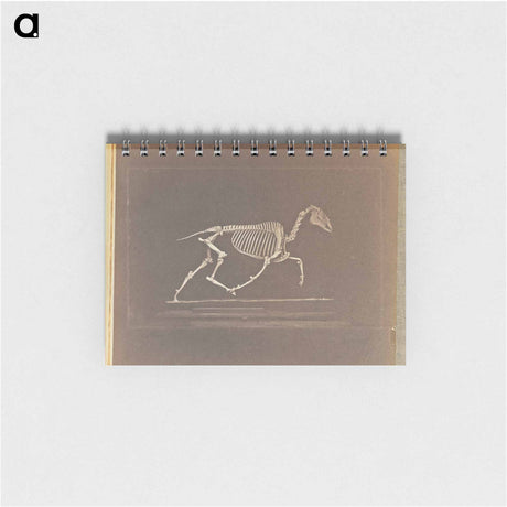 アートメモ帳-Trotting
 - エドワード マイブリッジ Memo.