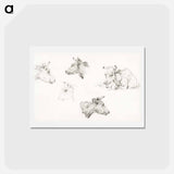 アートポストカード-Four study sketches of cows - ジャン ベルナール Postcard.