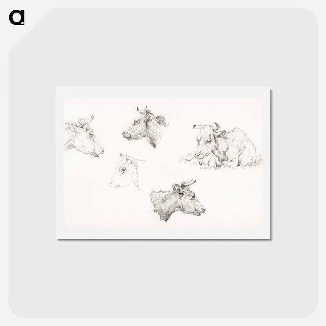 アートポストカード-Four study sketches of cows - ジャン ベルナール Postcard.
