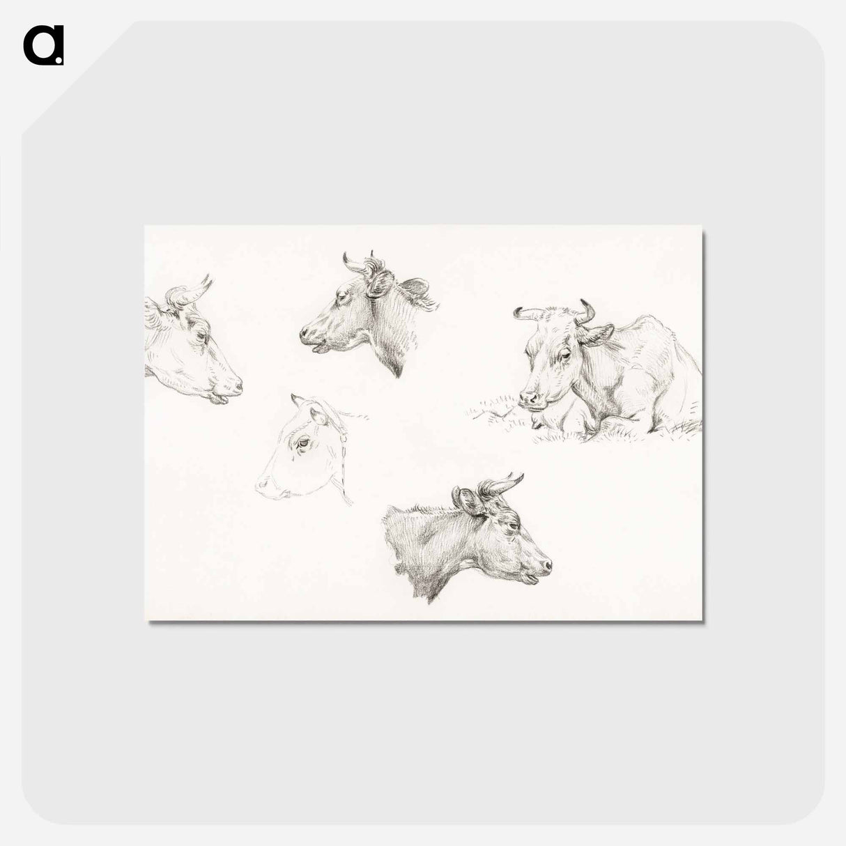 アートポストカード-Four study sketches of cows - ジャン ベルナール Postcard.