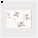 アートポストカード-Four study sketches of cows - ジャン ベルナール Postcard.