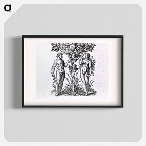 アートポスター-Adam and Eve Figures
 - 国立医学図書館 Poster.