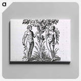 アートパネル-Adam and Eve Figures
 - 国立医学図書館 Canvas.