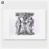 アートポスター-Adam and Eve Figures
 - 国立医学図書館 Poster.