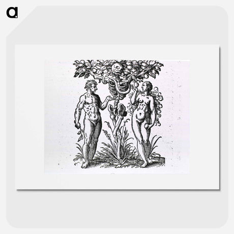 アートポスター-Adam and Eve Figures
 - 国立医学図書館 Poster.