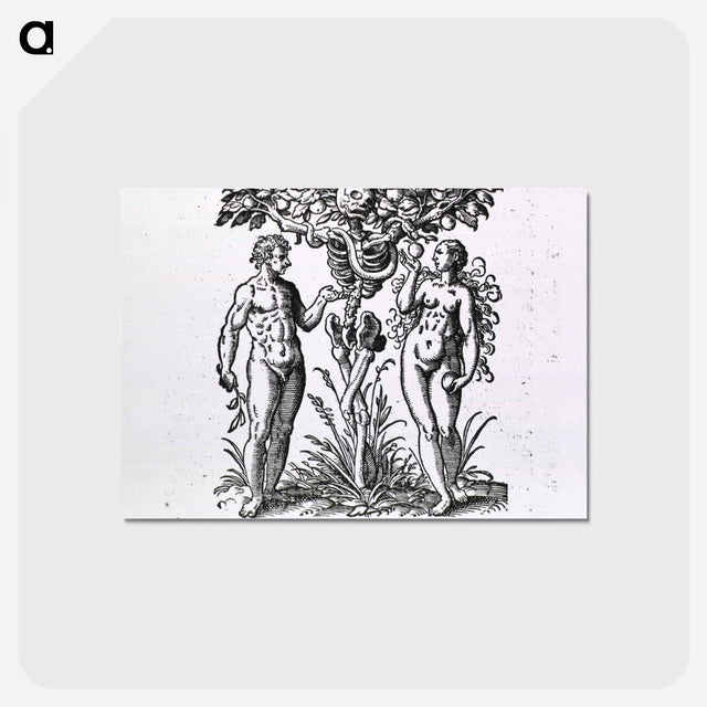 アートポストカード-Adam and Eve Figures
 - 国立医学図書館 Postcard.