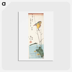 アートポストカード-Kingfisher and Reeds
 - 歌川 広重 Postcard.