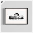 アートポスター-Mouse from Report of an Expedition Down the Zuni and Colorado Rivers
 - 大英図書館 Poster.