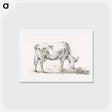 アートポストカード-Grazing cow - ジャン ベルナール Postcard.