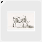 アートポストカード-Grazing cow - ジャン ベルナール Postcard.