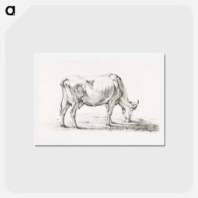 アートポストカード-Grazing cow - ジャン ベルナール Postcard.