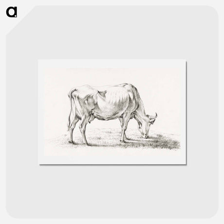 アートポストカード-Grazing cow - ジャン ベルナール Postcard.