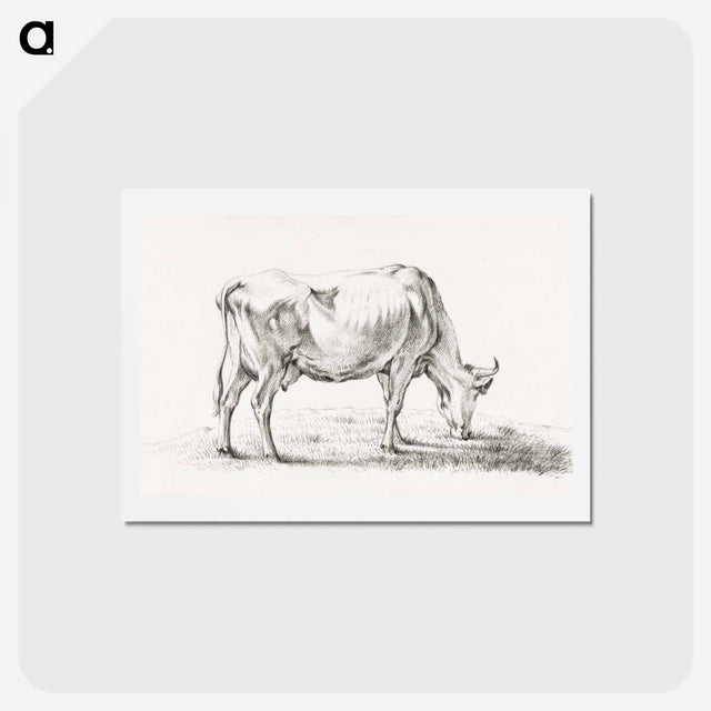 アートポストカード-Grazing cow - ジャン ベルナール Postcard.