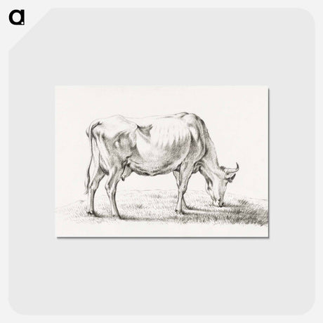 アートポストカード-Grazing cow - ジャン ベルナール Postcard.