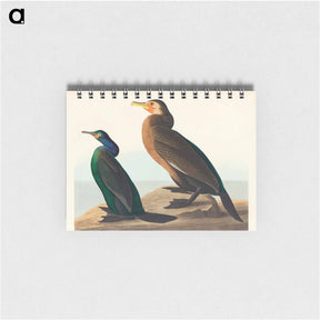 アートメモ帳-Violet-green and Townsend's Cormorants
 - ジョン ジェームス オーデュボン Memo.
