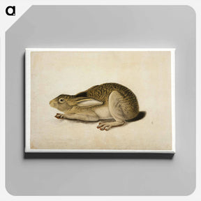 アートパネル-Black-Tailed Hare
 - セントルイス美術館 Canvas.
