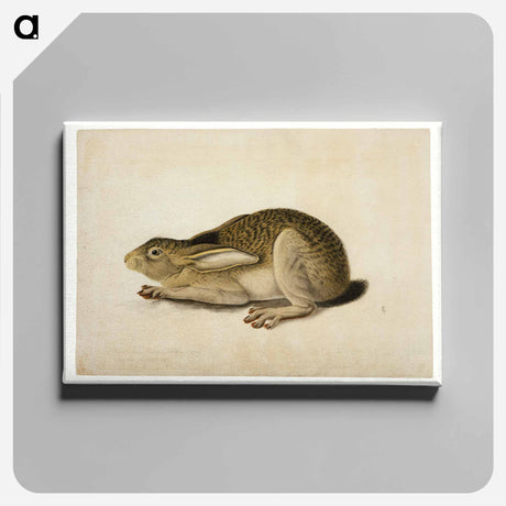 アートパネル-Black-Tailed Hare
 - セントルイス美術館 Canvas.