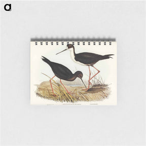 アートメモ帳-New Zealand Stilt
 - オーストラリアの鳥 Memo.