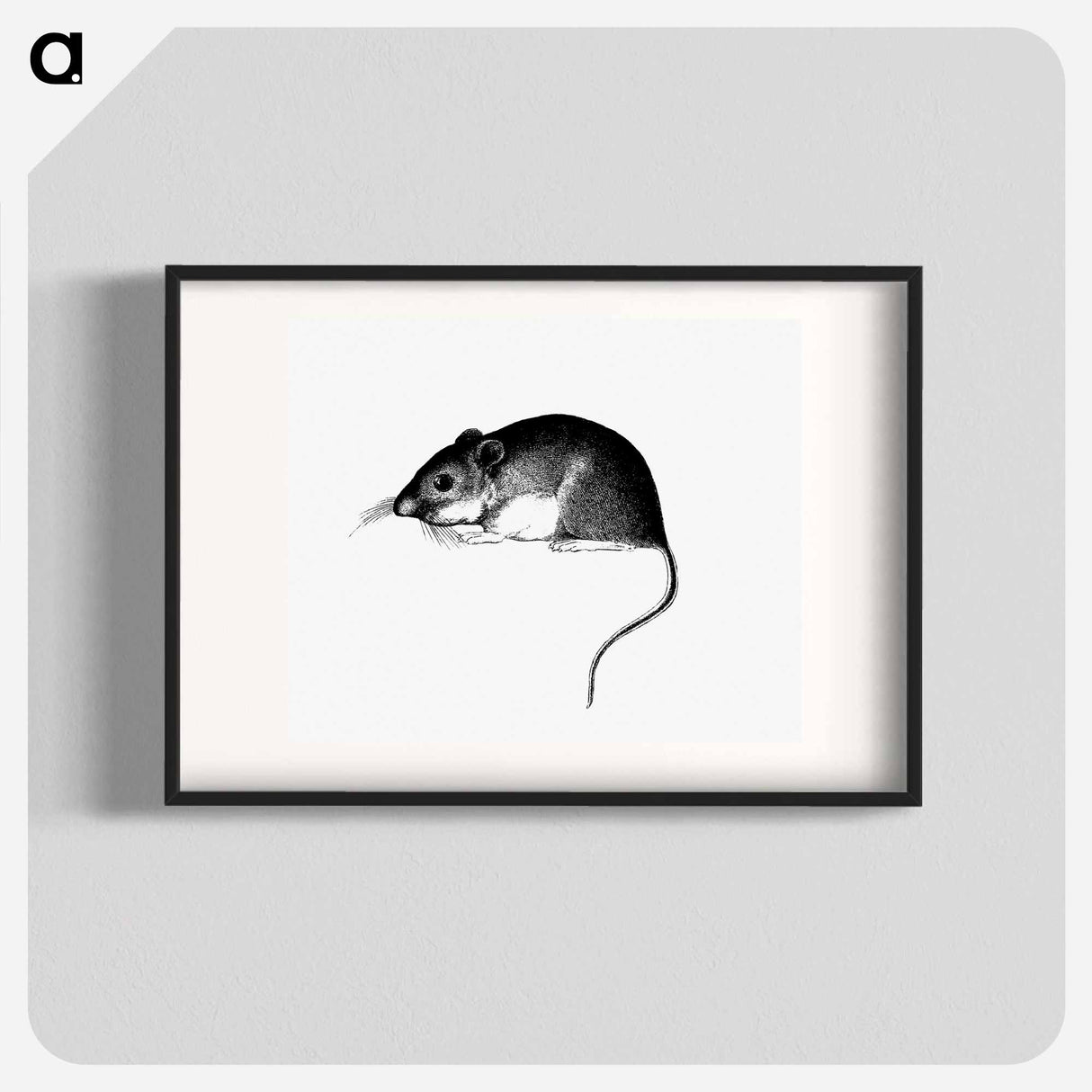 アートポスター-Mouse, from Report of an Expedition Down the Zuni and Colorado Rivers
 - 大英図書館 Poster.
