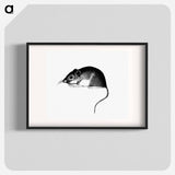 アートポスター-Mouse, from Report of an Expedition Down the Zuni and Colorado Rivers
 - 大英図書館 Poster.