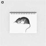 アートメモ帳-Mouse, from Report of an Expedition Down the Zuni and Colorado Rivers
 - 大英図書館 Memo.